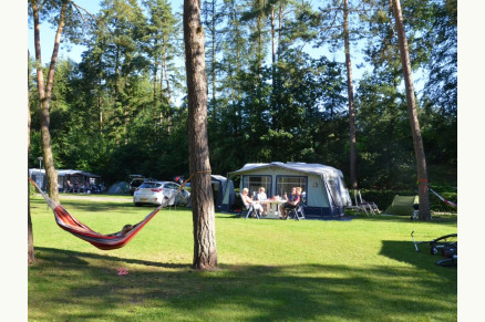 Manege bij Camping Samoza in het bos op de Veluwe VMP090